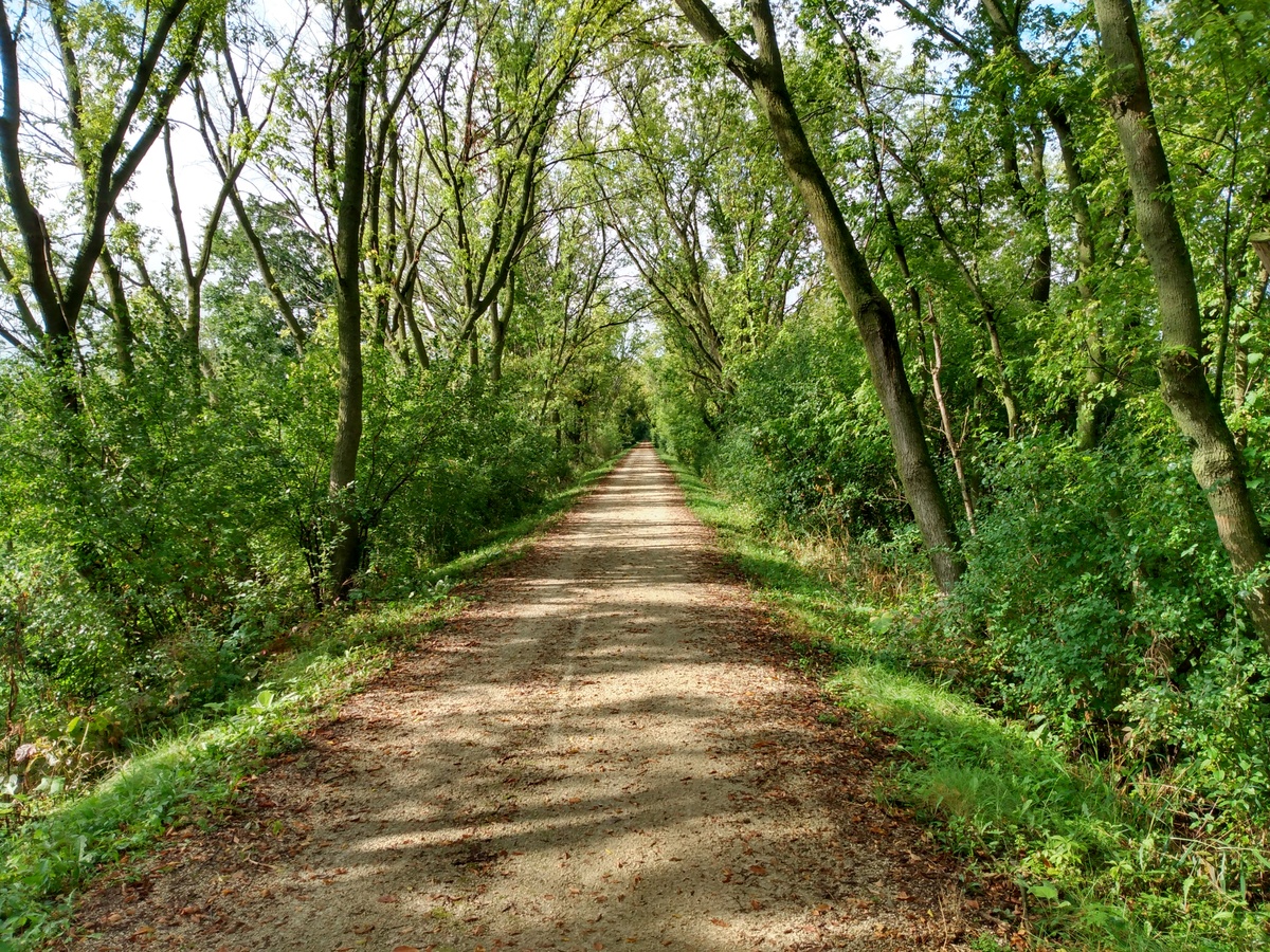 More quiet gravel