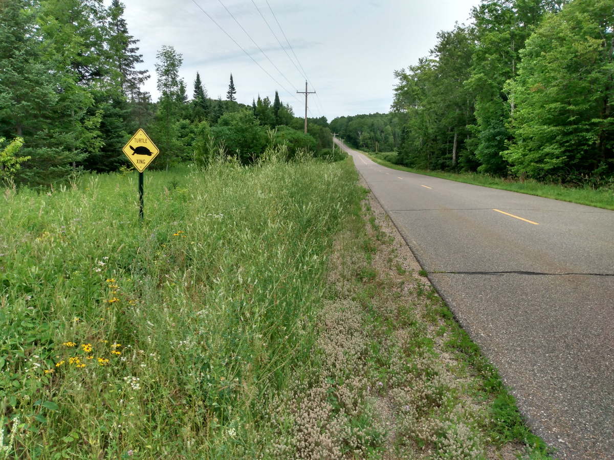 Turtle Xing sign